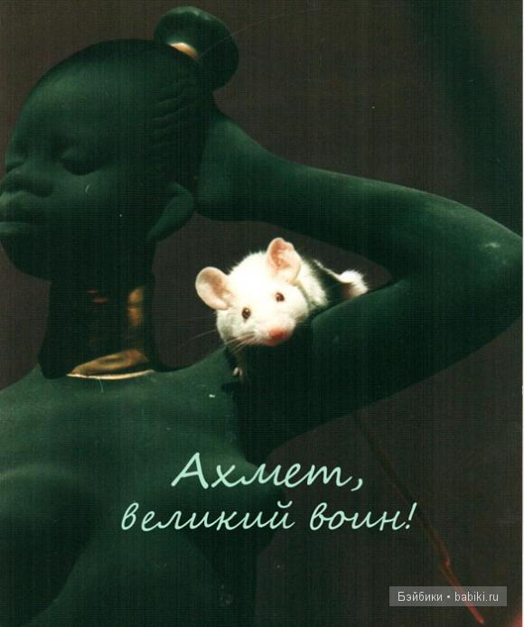 мои  мышки и крыски