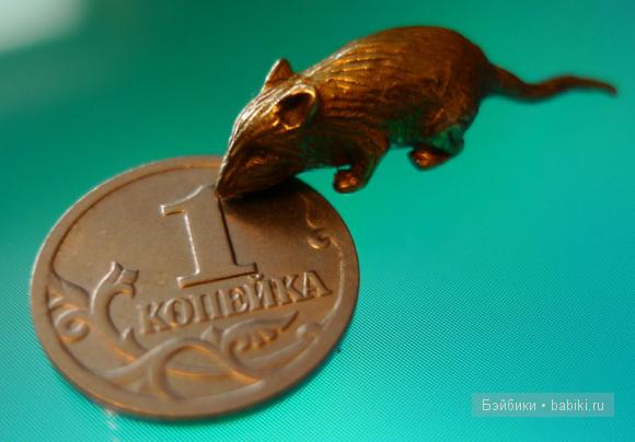 мышкины палаты