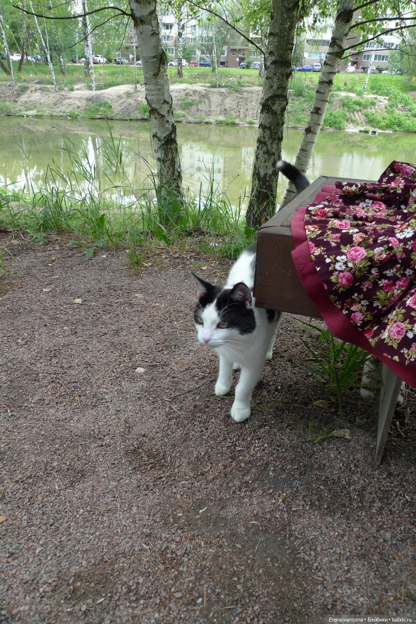 И имя её - Анжелика — Куклы Pamella Erff (Памела Эрфф): MasterPiece