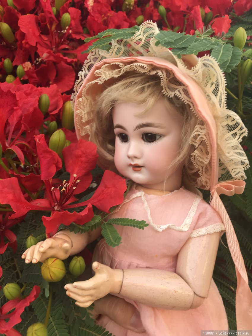 Симон Хальбиг. Из Франции в Израиль