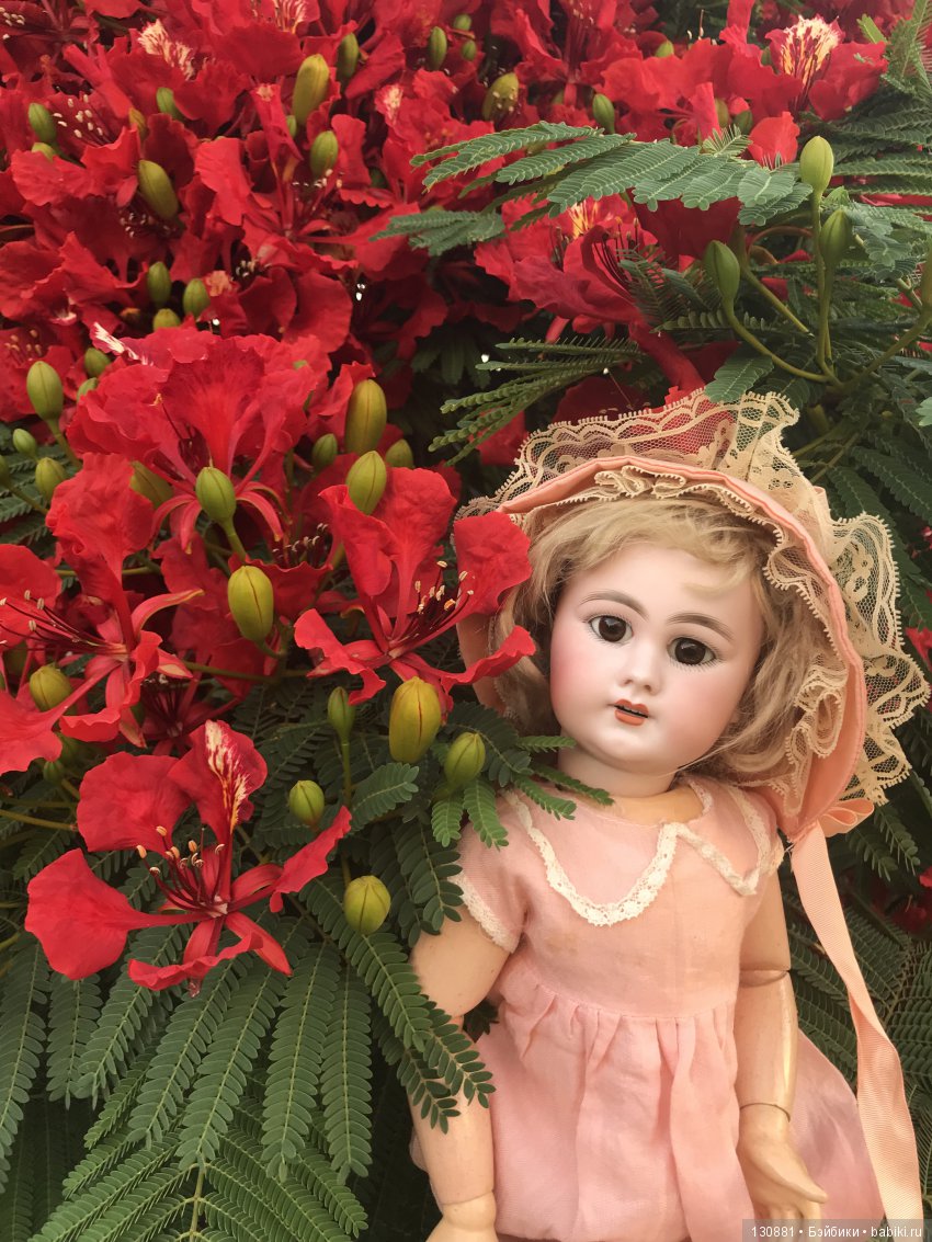 Симон Хальбиг. Из Франции в Израиль (фото 3)