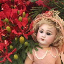 Симон Хальбиг. Из Франции в Израиль