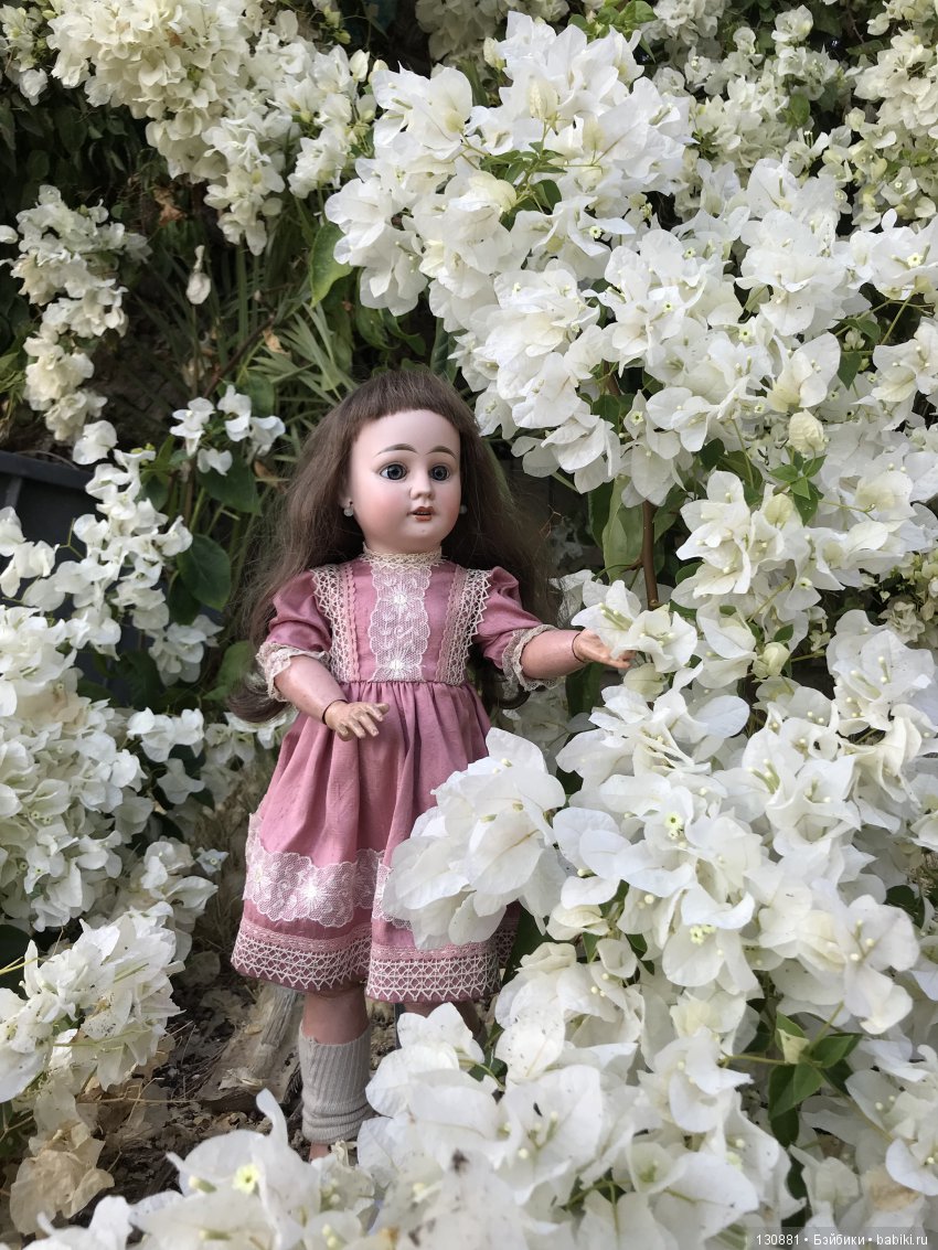 Фляйшманн. Прогулки продолжаются