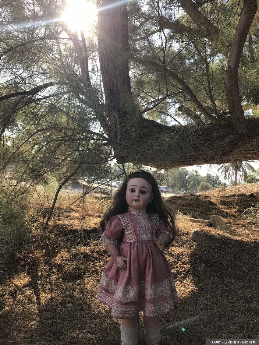 Фляйшманн. Прогулки продолжаются