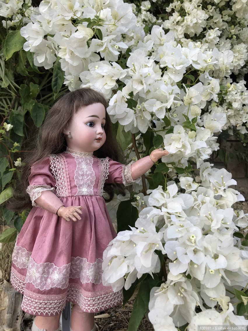 Фляйшманн. Прогулки продолжаются