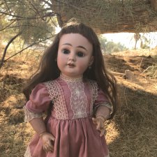 Фляйшманн. Прогулки продолжаются