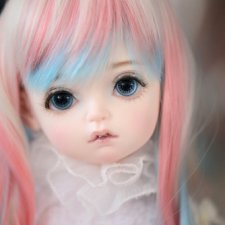 Продам Rosen Lied Holiday's Child ZeZe