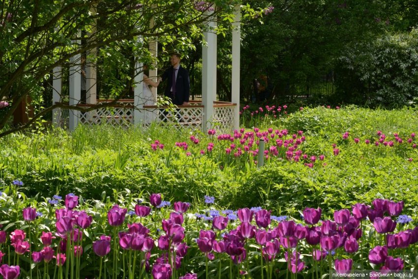 Фея Розария — Туризм и путешествия: фотоотчеты из поездок