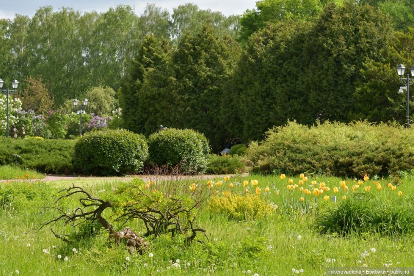 Фея Розария — Туризм и путешествия: фотоотчеты из поездок