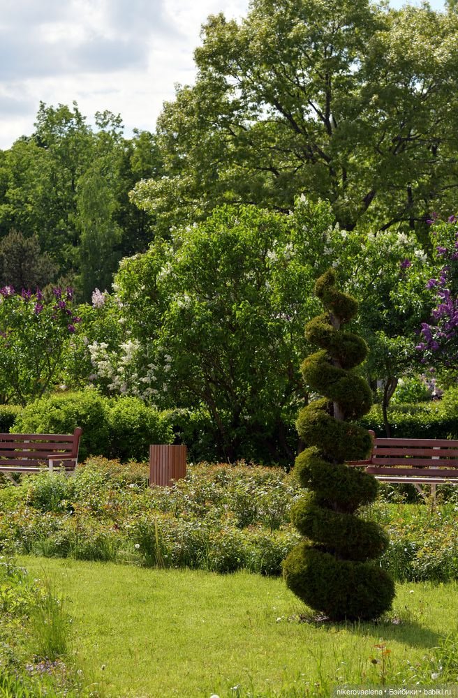 Фея Розария — Туризм и путешествия: фотоотчеты из поездок