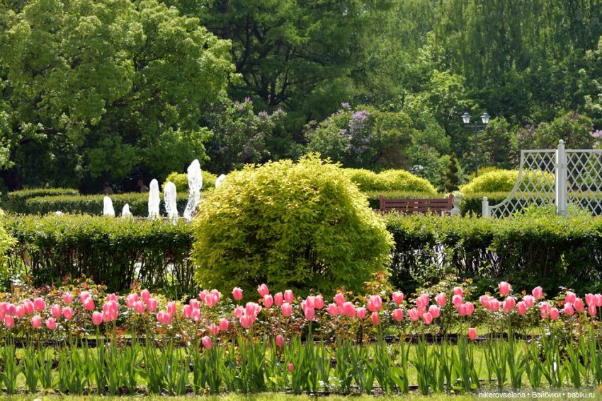 Фея Розария — Туризм и путешествия: фотоотчеты из поездок (фото 5)