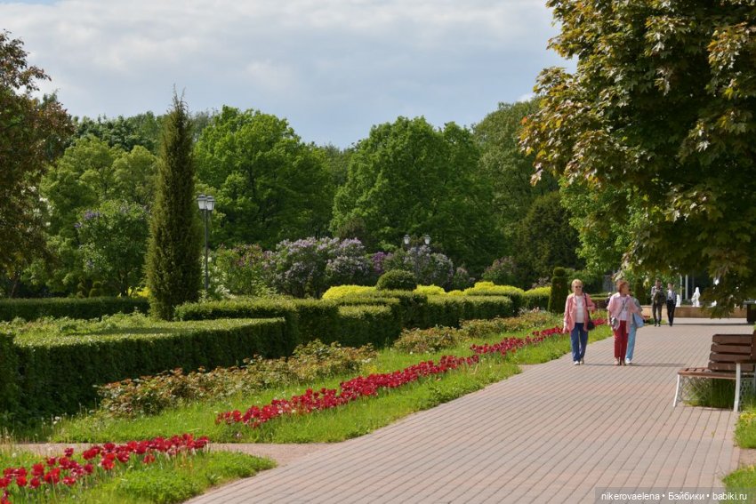Фея Розария — Туризм и путешествия: фотоотчеты из поездок