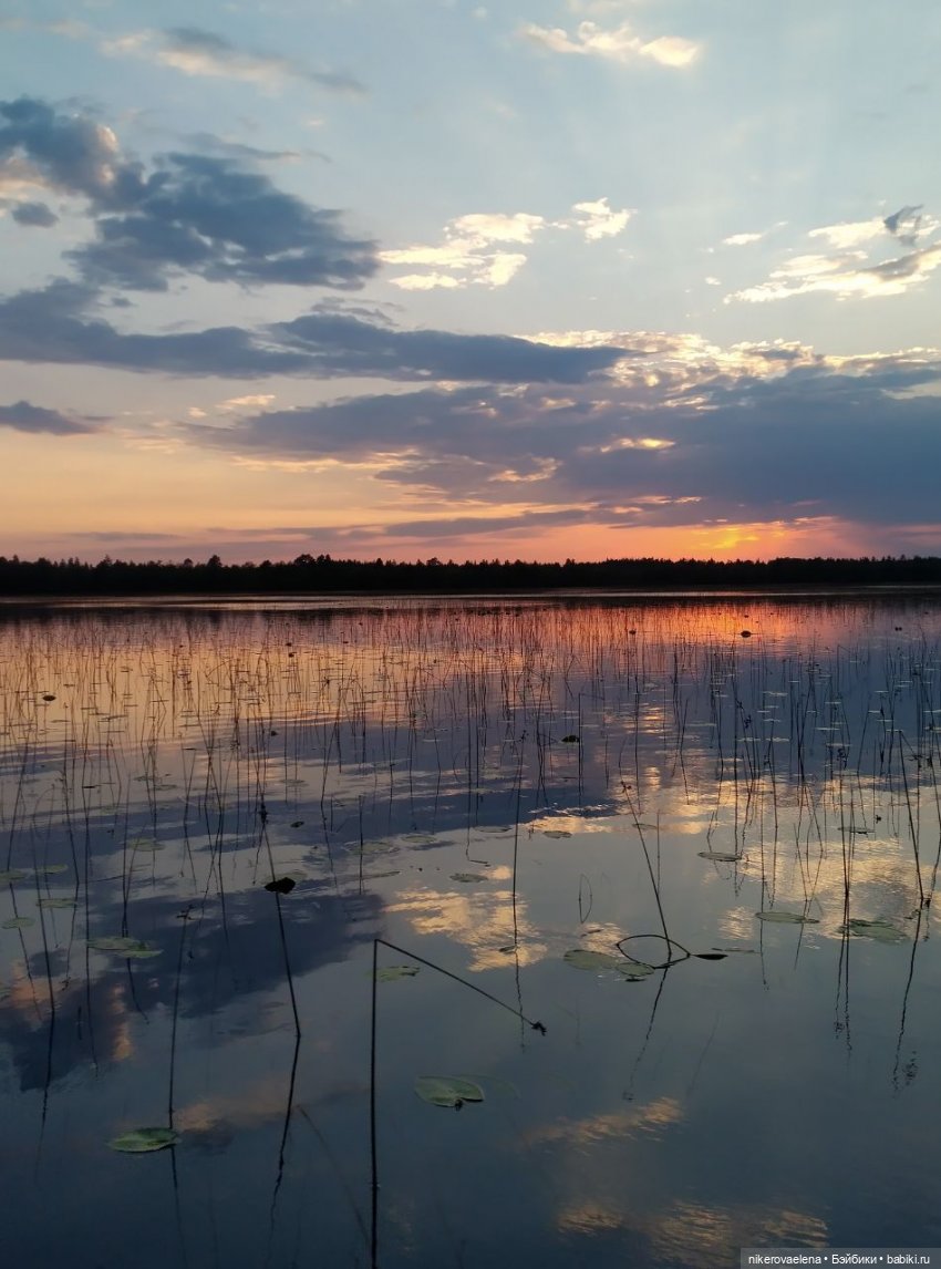 Черничка — Винтажные куклы ГДР (Немки): Бигги (фото 9)