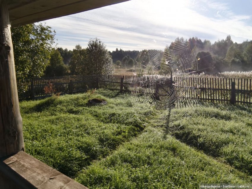 Черничка — Винтажные куклы ГДР (Немки): Бигги