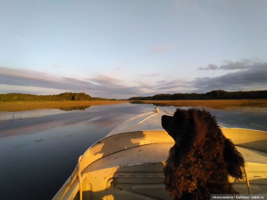 Черничка — Винтажные куклы ГДР (Немки): Бигги