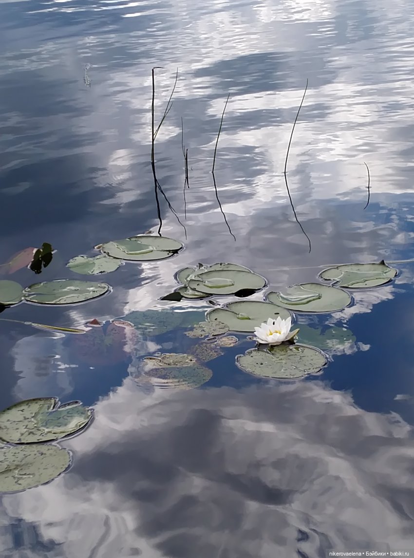 Черничка — Винтажные куклы ГДР (Немки): Бигги (фото 10)