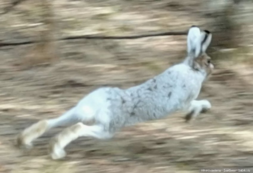 Большая перемена — Болталка и разговоры обо всем: жизнь (фото 2)