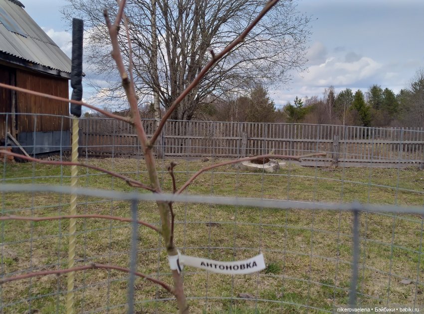 Большая перемена — Болталка и разговоры обо всем: жизнь (фото 3)