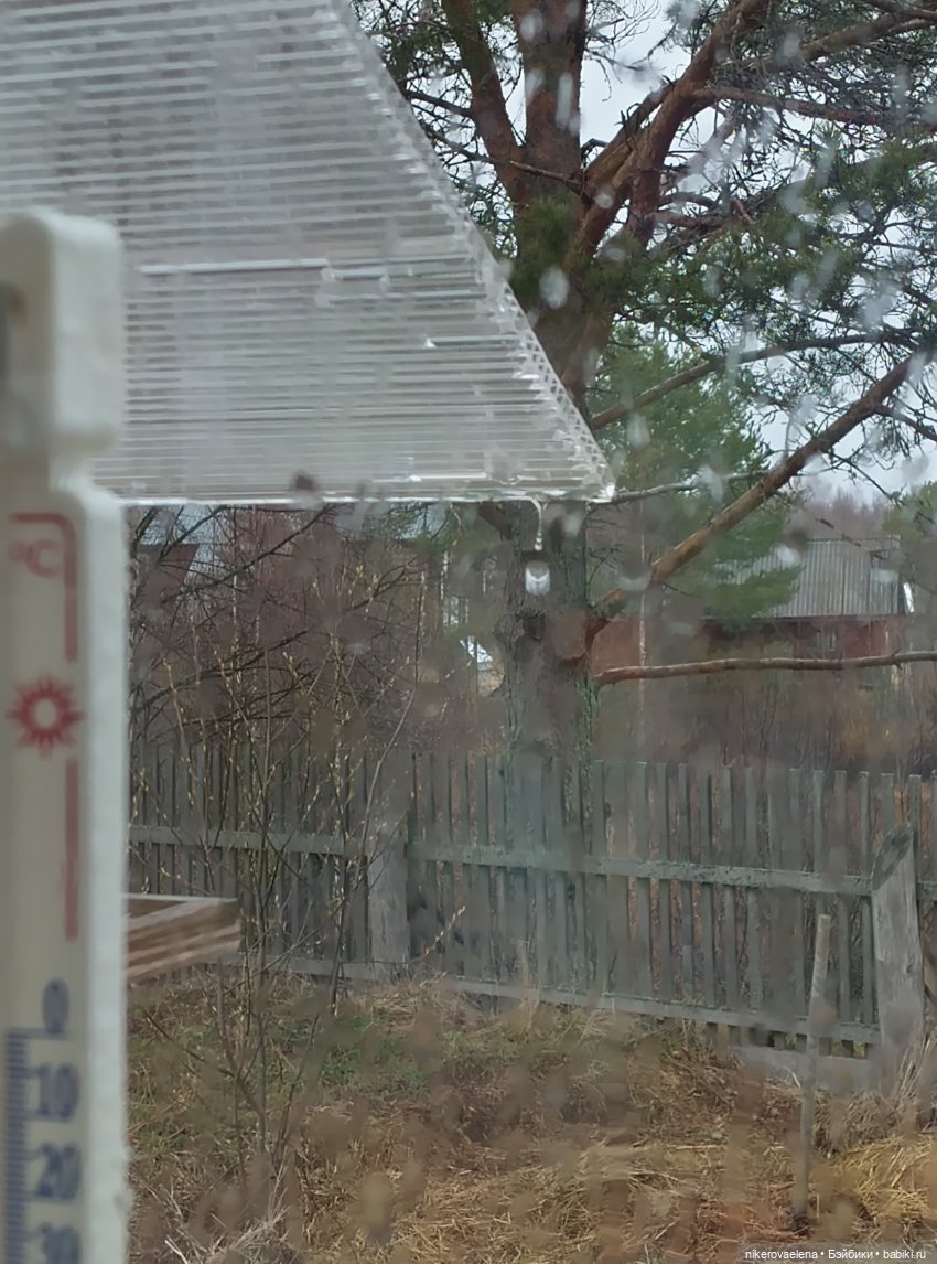 Большая перемена — Болталка и разговоры обо всем: жизнь