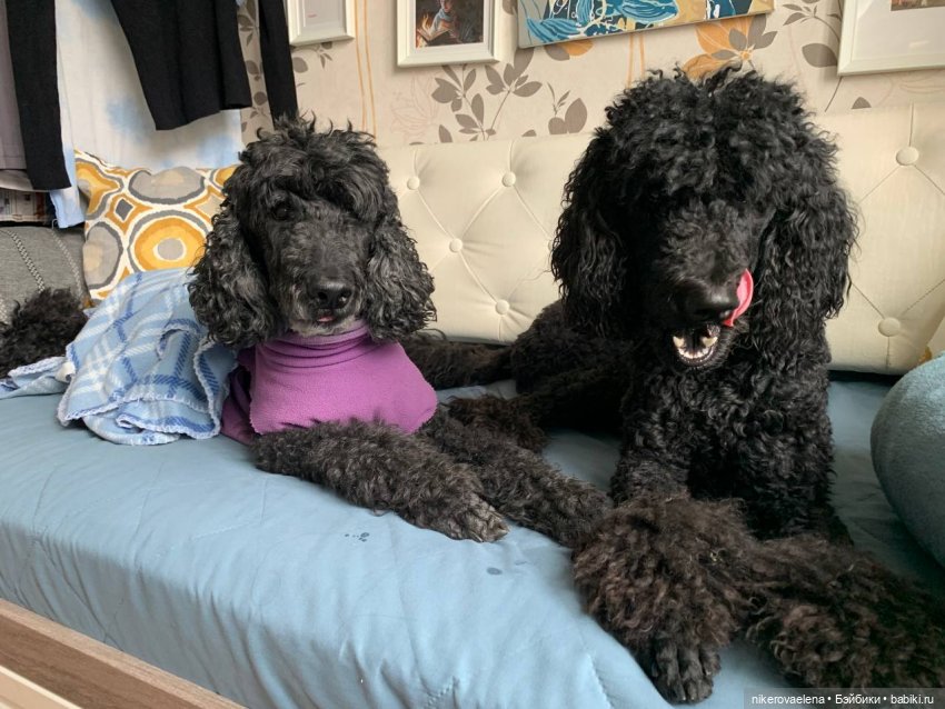 Большая перемена — Болталка и разговоры обо всем: жизнь (фото 4)