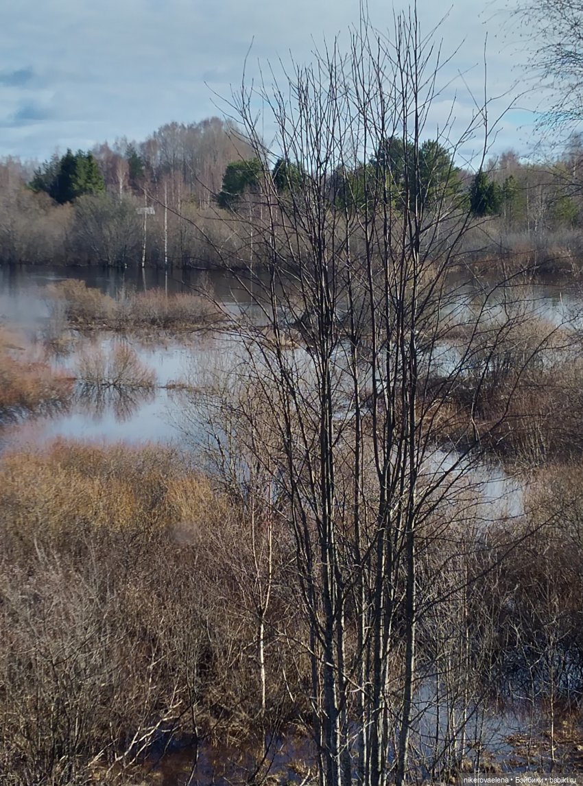 Большая перемена — Болталка и разговоры обо всем: жизнь