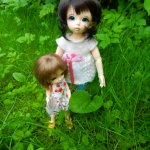 Варвара путешевственница (Литтлфи Анте)