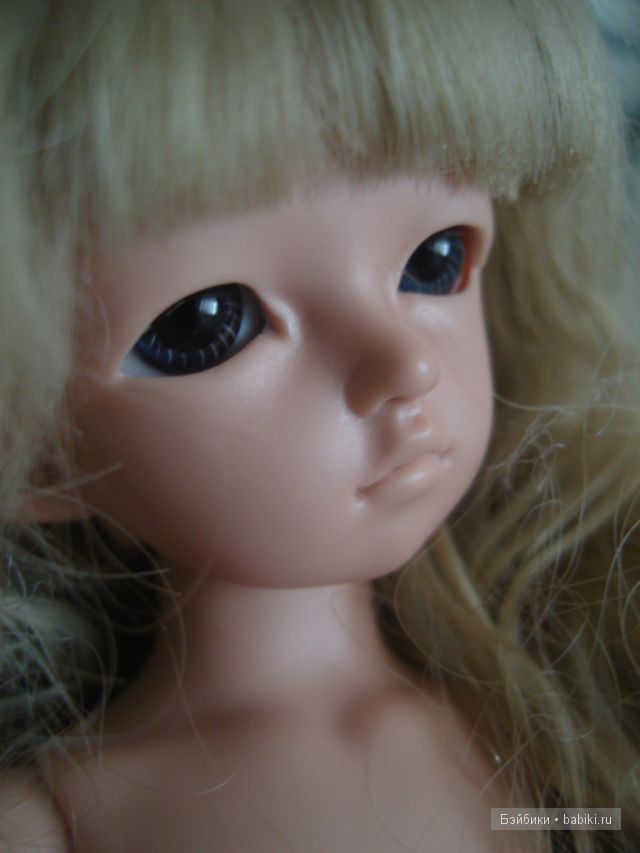 бжд