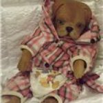 Моя новая псиночка Пуся