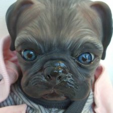 Анита-собачка реборн