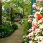 Весна. Цветы....