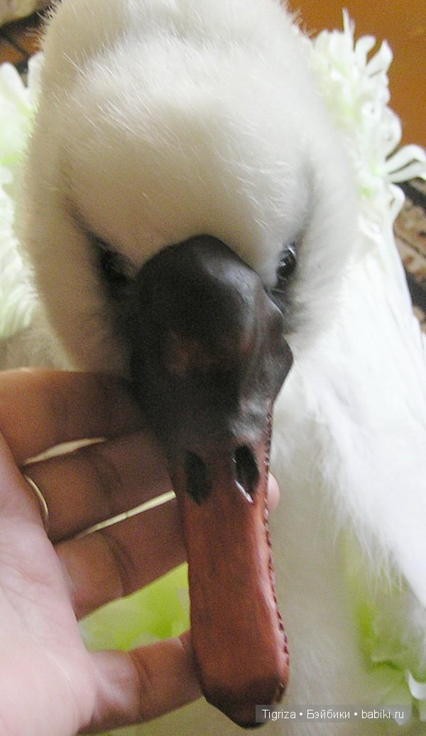 Сказка о зеленом лебеде, или колыбель для реборна