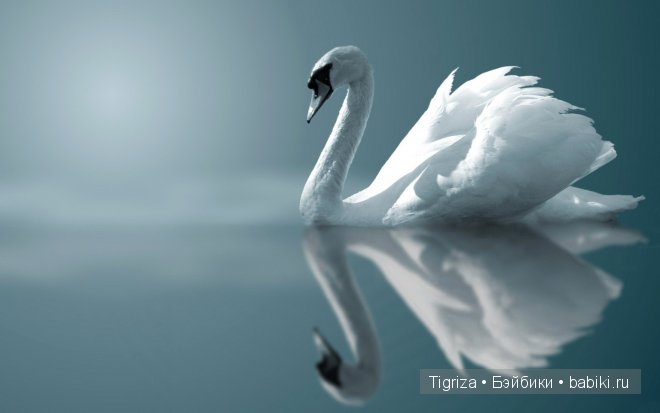 Сказка о зеленом лебеде, или колыбель для реборна