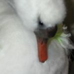 Сказка о зеленом лебеде, или колыбель для реборна