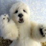 Ледяной горою Айсберг....