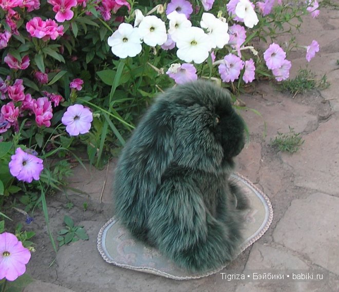 Июлька, игрушка своими руками (фото 8)