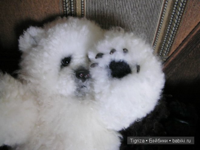 Разномастная двойня. Мишки из натурального меха