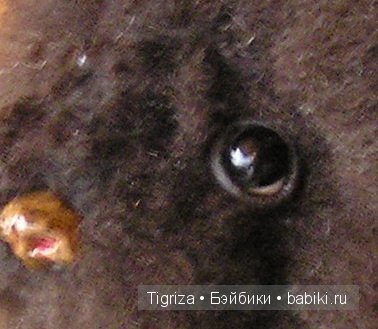 Еще один медвежий бэби. Авторский мишка Марины Непокрытых (фото 4)