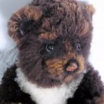 Мишка Степа в новой шубке