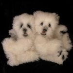 На Севере полярная ночь