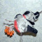 Птички для сестрички