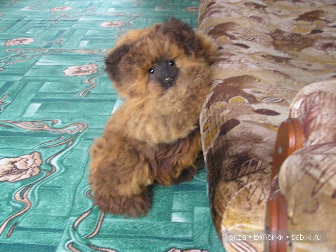 Мишка тедди готовится в дорогу (фото 3)