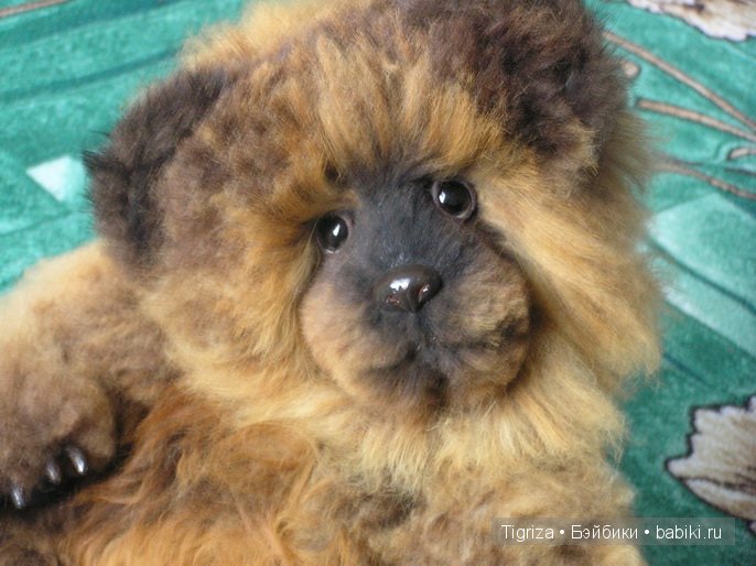 Мишка тедди готовится в дорогу (фото 5)