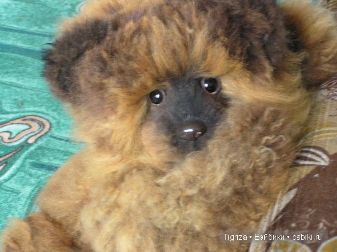 Мишка тедди готовится в дорогу (фото 4)