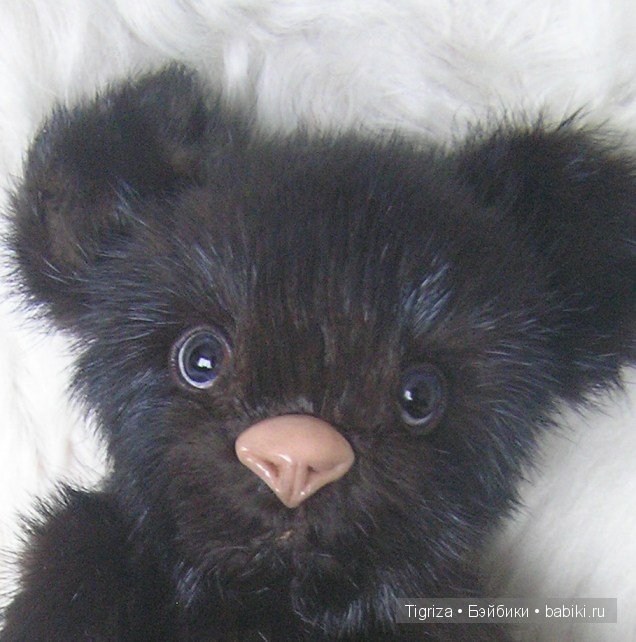 Молочный медвежонок Пимка, мишка тедди (фото 2)