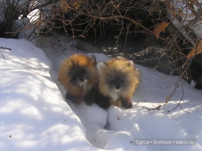 Лисичка, лисичка, кому ты сестричка? Авторская игрушка ручной работы