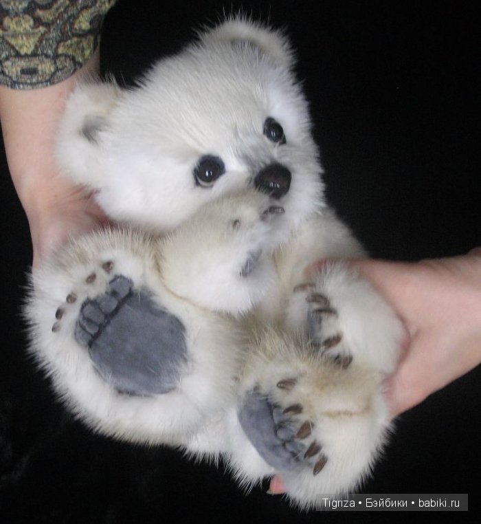 Полярный мишка тедди из натурального меха