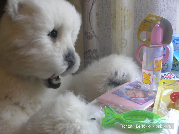 Как Самсон детскую комнату принимал. Мишка тедди