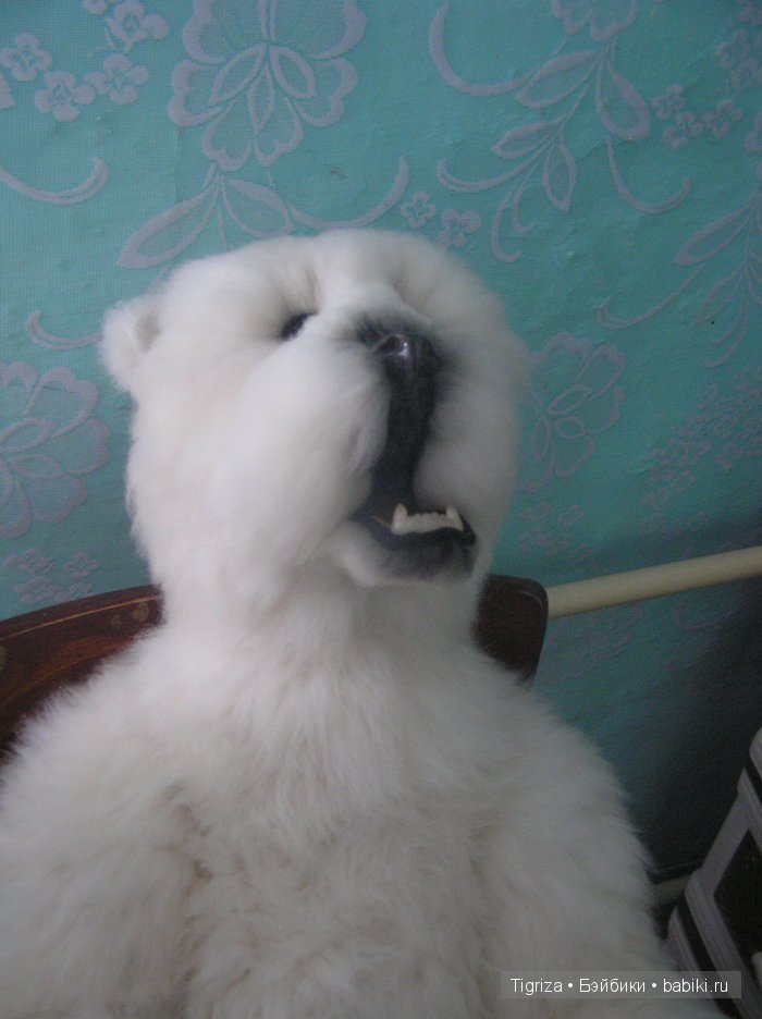 Как Самсон детскую комнату принимал. Мишка тедди