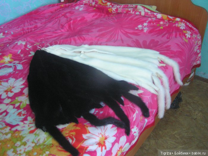 Авторская игрушка, Бао-Бао из натурального меха