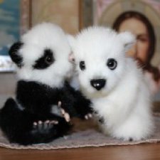 Мои мишки тедди малыши